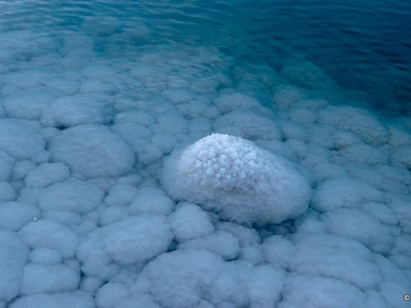 Dead sea Tour. Simplicity Journey.
